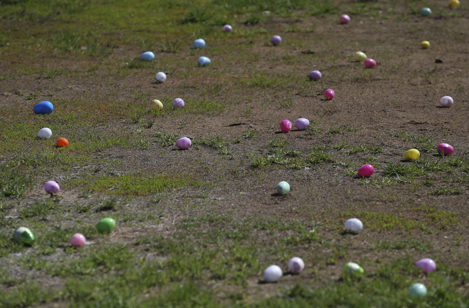 EGG-stravaganza hunt